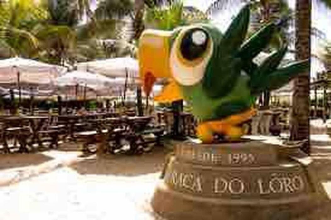 Pe Na Areia Vista Total Mar - O Paraiso E Aqui! ซัลวาดอร์ ภายนอก รูปภาพ