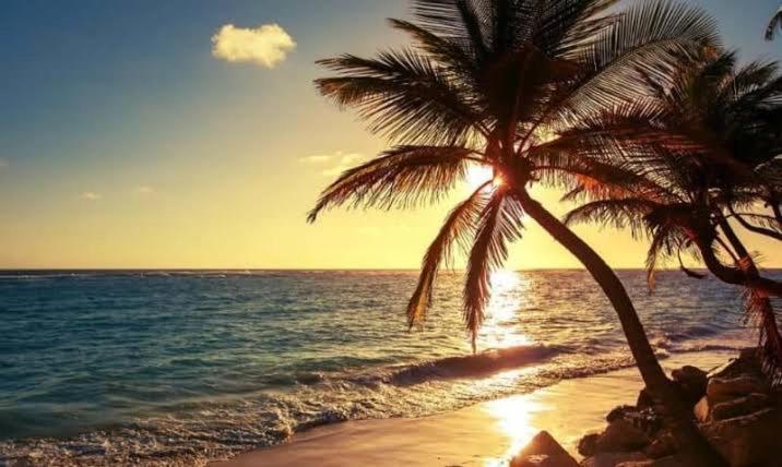 Pe Na Areia Vista Total Mar - O Paraiso E Aqui! ซัลวาดอร์ ภายนอก รูปภาพ